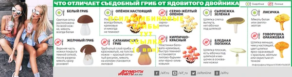 гашик Кулебаки