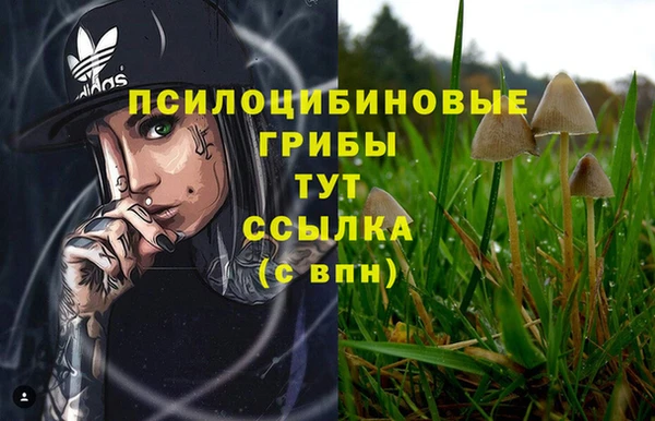 гашик Кулебаки