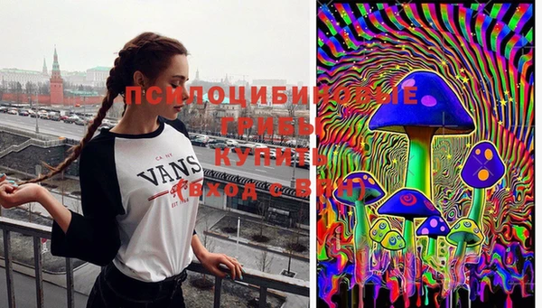 первитин Ладушкин