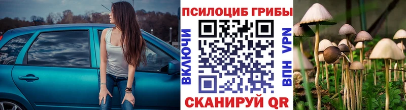 Купить где  Гусиноозёрск  Псилоцибиновые грибы Cubensis 